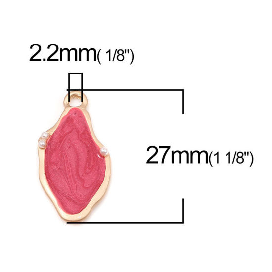 Bild von Zinklegierung + Acryl Charms Unregelmäßig Matt Gold Grau Emaille Imitat Perle 27mm x 14mm, 5 Stück