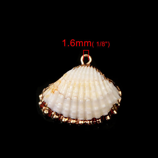 Image de Breloques Naturel en Coquille au Hasard Doré 26mm x 23mm - 23mm x 20mm, 5 Pcs