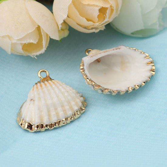 Picture of Natural Shell Charms Gold Plated At Random 26mm x 23mm - 23mm x 20mm, 5 PCs