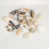 Picture of Shell Resin Jewelry Craft Filling Material At Random Mixed Conch/ Sea Snail 3.2cm x 1.4cm - 0.8cm x 0.7cm, 2 Packets