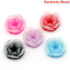 Picture of Resin Embellishment Flower At Random Color Mixed 13x13mm(4/8"x4/8"), 100 PCs