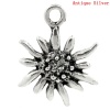 Picture of Charm Pendants Edelweiss Flower Antique Silver Color 17x13mm,30PCs