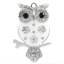Bild von Zinklegierung Charm Anhänger Tier Eule Silberfarbe Weiß Emaille mit Strass 5.1cm x 3.2cm, 3 Stücke