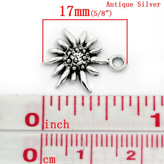 Bild von Charm Anhänger Edelweiß Blumen Antik Silber 17mmx13mm, 30er Packung