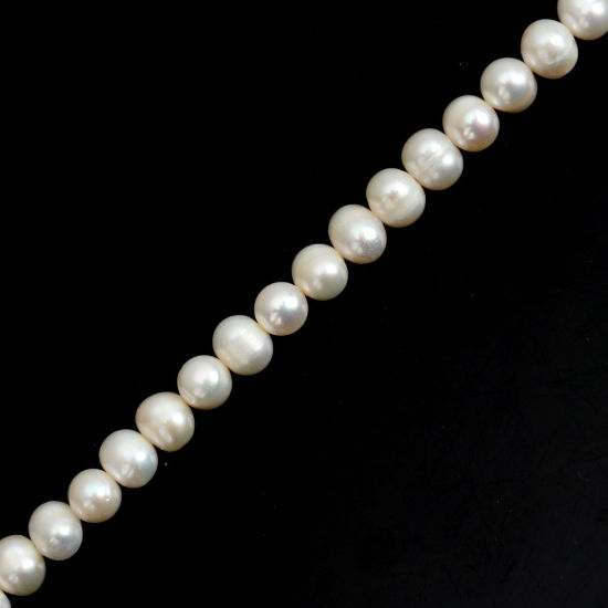 Immagine di Naturale Perle di Acqua Dolce Perline Ovale Bianco Circa 7mm x 6mm, Foro: Circa 1mm, Lunghezza: 36.5cm, 1 Filo (Circa 60 Pz/Treccia)