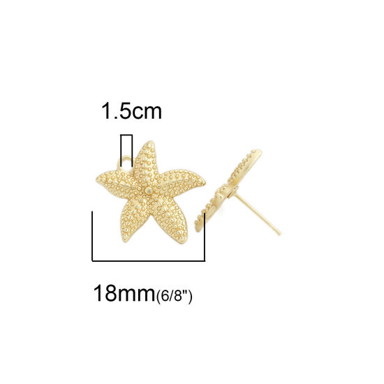 Immagine di Lega di Zinco Gioielli Oceanici Orecchini a Perno Tappi di Orecchini Stella di Mare Oro Opaco W/ Loop 19mm x 18mm, Diametro Filo: (21 misura), 2 Paia