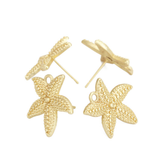 Immagine di Lega di Zinco Gioielli Oceanici Orecchini a Perno Tappi di Orecchini Stella di Mare Oro Opaco W/ Loop 19mm x 18mm, Diametro Filo: (21 misura), 2 Paia