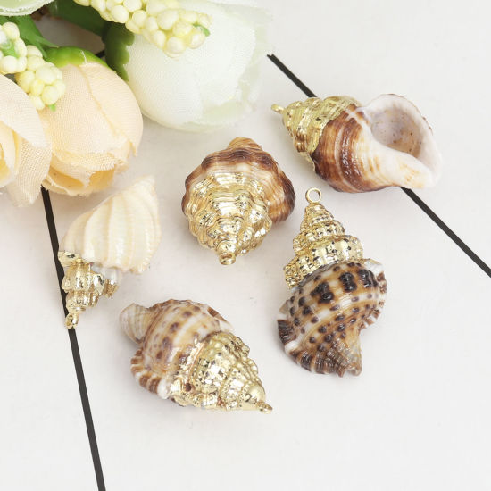 Picture of Natural Shell Pendants Gold Plated Conch/ Sea Snail White & Coffee 3.1cm x 2.7cm - 2.2cm x 1.6cm, 5 PCs