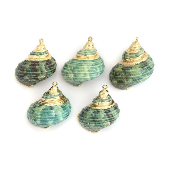 Picture of Natural Shell Pendants Gold Plated Conch/ Sea Snail Green 3.1cm x 2.5cm - 2.5cm x 1.8cm, 5 PCs