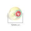 Picture of Resin & Real Dried Flower Dome Seals Cabochon Hemispherical Multicolor Transparent Fruit Pattern 12mm Dia., 10 PCs