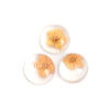 Picture of Resin & Real Dried Flower Dome Seals Cabochon Round Orange Transparent 13mm Dia., 10 PCs