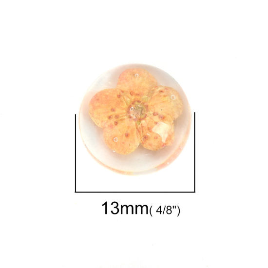 Image de Cabochon Dôme en Résine & Fleurs Séchées Rond Orange Transparent 13mm Dia, 10 Pcs