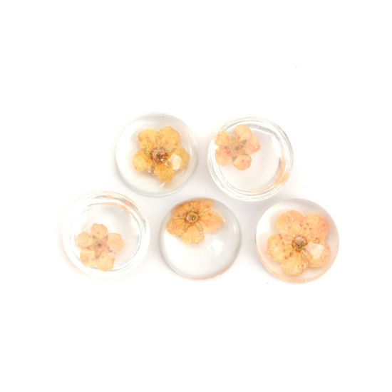 Image de Cabochon Dôme en Résine & Fleurs Séchées Rond Orange Transparent 13mm Dia, 10 Pcs