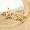 Picture of Zinc Based Alloy Ocean Jewelry Connectors Star Fish Gold Plated Filigree 22mm x 20mm, 10 PCs
