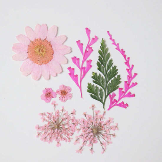 Image de Matériaux de Remplissage pour Bijoux de Résine en Fleurs Séchées Rose 3.8cm x 2.5cm - 0.7cm x 0.7cm, 1 Paquet ( 7 Pcs/Paquet)