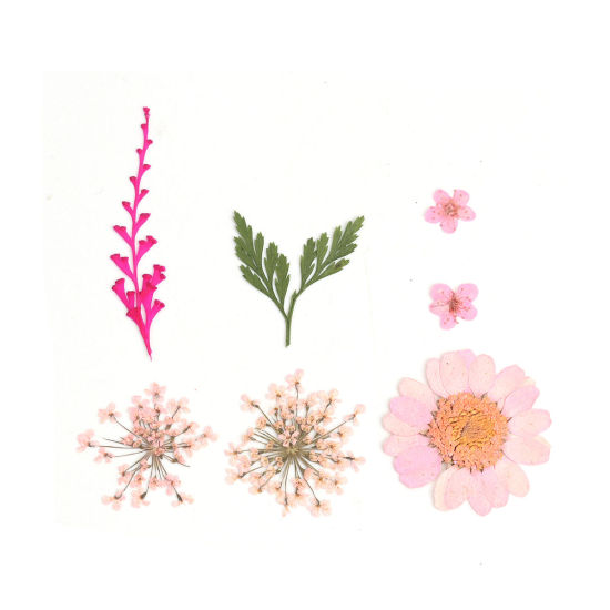 Picture of Real Dried Flower Resin Jewelry Craft Filling Material Pink 3.8cm x 2.5cm - 0.7cm x 0.7cm, 1 Packet ( 7 PCs/Packet)