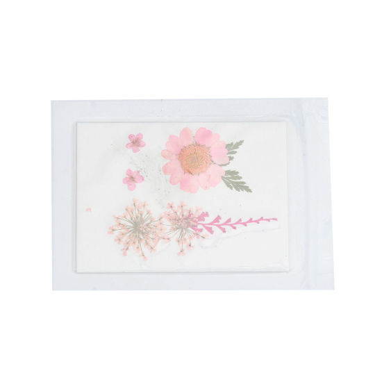 Picture of Real Dried Flower Resin Jewelry Craft Filling Material Pink 3.8cm x 2.5cm - 0.7cm x 0.7cm, 1 Packet ( 7 PCs/Packet)