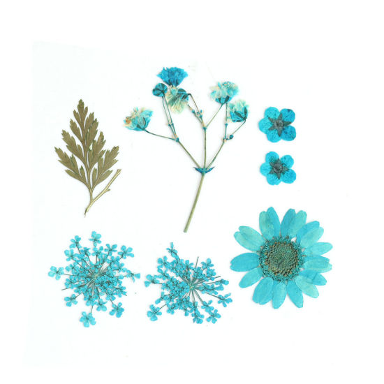 Image de Matériaux de Remplissage pour Bijoux de Résine en Fleurs Séchées Bleu-Vert 3.8cm x 2.5cm - 0.7cm x 0.7cm, 1 Paquet ( 7 Pcs/Paquet)