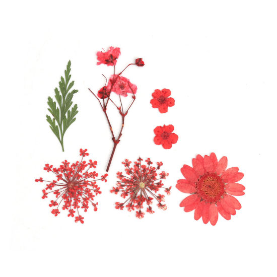 Picture of Real Dried Flower Resin Jewelry Craft Filling Material Red 3.8cm x 2.5cm - 0.7cm x 0.7cm, 1 Packet ( 7 PCs/Packet)