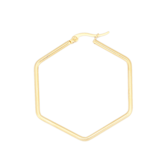 Immagine di 304 Acciaio Inossidabile orecchino cerchio Oro Placcato Esagono 4.5cm x 4.1cm, Posta / Filo Dimensione: (17 misura), 1 Paio