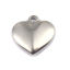 Picture of 304 Stainless Steel Charms Heart Silver Tone 16mm x 16mm, 5 PCs