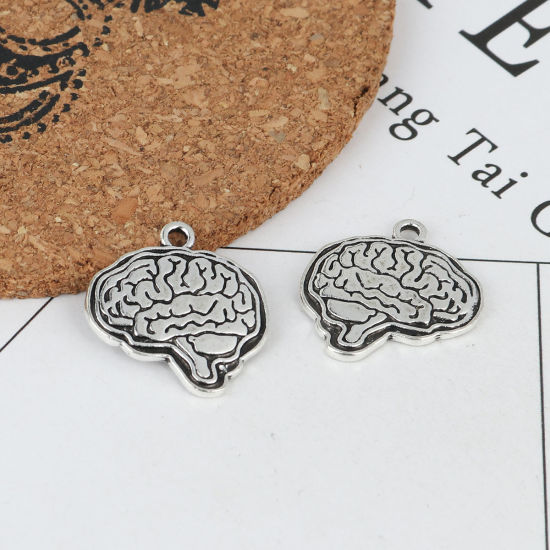 Picture of Zinc Based Alloy Charms Antique Silver Color Cerebrum/ Brain 23mm x 22mm, 10 PCs