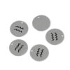 Picture of Stainless Steel Charms Round Disc Silver Tone Aquarius Sign Of Zodiac Constellations 20mm Dia., 5 PCs