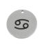 Picture of Stainless Steel Charms Round Disc Silver Tone Cancer Sign Of Zodiac Constellations 20mm Dia., 5 PCs