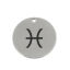 Picture of Stainless Steel Charms Round Disc Silver Tone Pisces Sign Of Zodiac Constellations 20mm Dia., 5 PCs