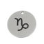 Immagine di Acciaio Inossidabile Charms Tondo Tono Argento Costellazione Capricorno 20mm Dia., 5 Pz