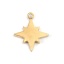 Picture of 304 Stainless Steel Galaxy Charms Star Gold Plated 11mm x 10mm, 2 PCs