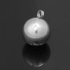 Imagen de 304 Acero Inoxidable Colgantes Charms Ronda Tono de Plata 15mm x 12mm, 10 Unidades