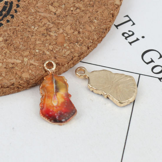 Picture of Zinc Based Alloy Charms Feather Gold Plated Orange Enamel 19mm x 10mm, 10 PCs