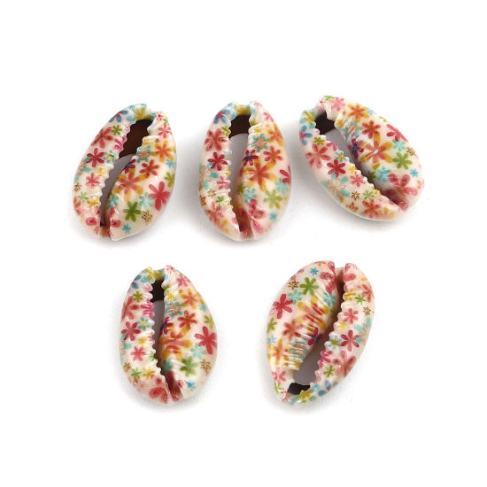 Picture of Natural Shell Loose Beads Conch/ Sea Snail Multicolor Flower Pattern About 25mm x 17mm-18mm x 14mm, 10 PCs