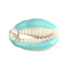 Picture of Natural Shell Loose Beads Conch/ Sea Snail Light Blue About 25mm x 17mm-18mm x 14mm, 10 PCs