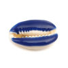 Picture of Natural Shell Loose Beads Conch/ Sea Snail Royal Blue About 25mm x 17mm-18mm x 14mm, 10 PCs