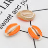 Picture of Natural Shell Loose Beads Conch/ Sea Snail Orange About 25mm x 17mm-18mm x 14mm, 10 PCs