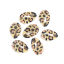 Natural Shell Loose Beads Conch/ Sea Snail Black & Beige Leopard Print Pattern About 25mm x 17mm-18mm x 14mm, 10 PCs