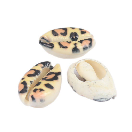 Picture of Natural Shell Loose Beads Conch/ Sea Snail Black & Beige Leopard Print Pattern About 25mm x 17mm-18mm x 14mm, 10 PCs