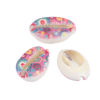 Picture of Natural Shell Loose Beads Conch/ Sea Snail Multicolor Circle Pattern About 25mm x 17mm-18mm x 14mm, 10 PCs