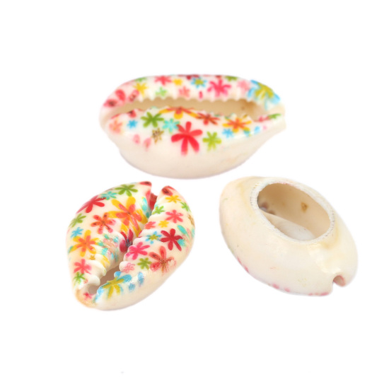 Picture of Natural Shell Loose Beads Conch/ Sea Snail Multicolor Flower Pattern About 25mm x 17mm-18mm x 14mm, 10 PCs