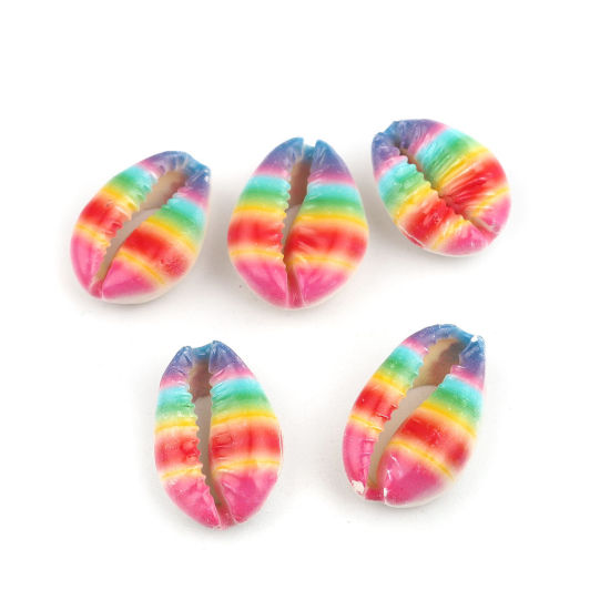 Picture of Natural Shell Loose Beads Conch/ Sea Snail Multicolor About 25mm x 17mm-18mm x 14mm, 10 PCs