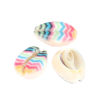 Picture of Natural Shell Loose Beads Conch/ Sea Snail Multicolor Flower Pattern About 20mm x 13mm-16mm x 12mm, 10 PCs