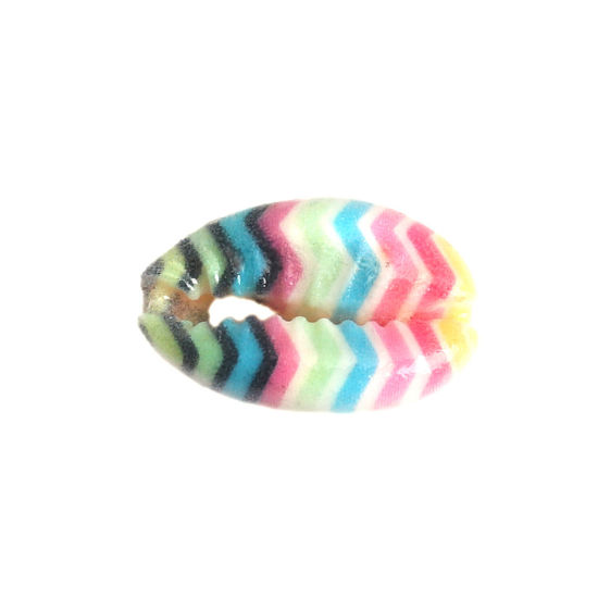 Bild von Muschel Perlen Strandschnecke Bunt Streifen Muster 20mm x 13mm-16mm x 12mm, 10 Stück