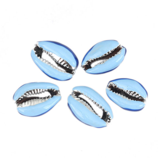 Picture of Natural Shell Loose Beads Conch/ Sea Snail Silver Royal Blue & Lightblue About 24mm x 16mm-17mm x 13mm, 5 PCs