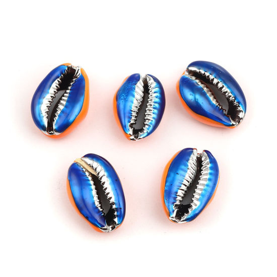 Picture of Natural Shell Loose Beads Conch/ Sea Snail Golden Orange & Dark Blue About 24mm x 16mm-17mm x 13mm, 5 PCs