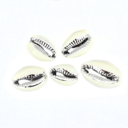 Picture of Natural Shell Loose Beads Conch/ Sea Snail Silver Off-white About 24mm x 16mm-17mm x 13mm, 5 PCs