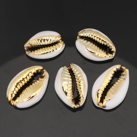 Picture of Natural Shell Loose Beads Conch/ Sea Snail Golden White About 24mm x 16mm-17mm x 13mm, 5 PCs