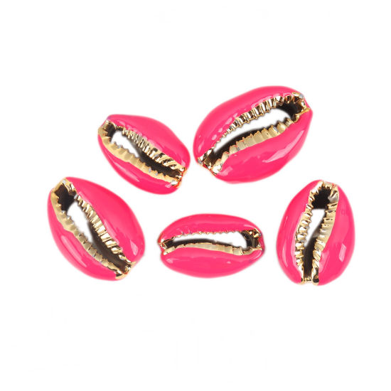 Picture of Natural Shell Loose Beads Conch/ Sea Snail Golden Fuchsia About 24mm x 16mm-17mm x 13mm, 5 PCs