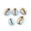 Immagine di Conchiglia Sciolto Perline Conchiglia Blu Chiaro Oro 24mm x 16mm-17mm x 13mm, 5 Pz